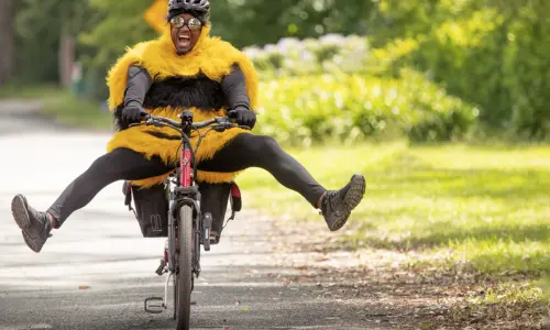 Nectr Bee Man Bike